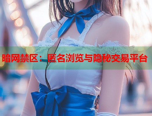 暗网禁区：匿名浏览与隐秘交易平台  第2张