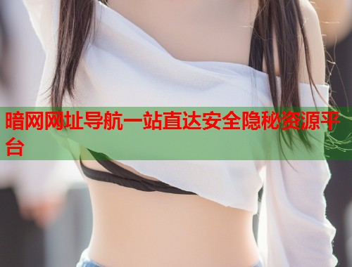 暗网网址导航一站直达安全隐秘资源平台