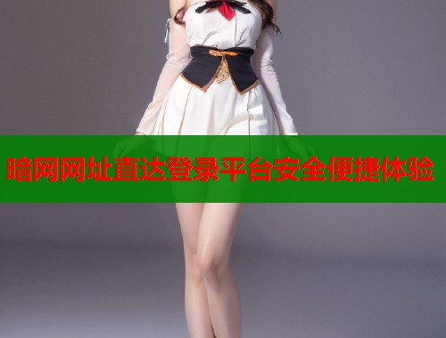 暗网网址直达登录平台安全便捷体验  第1张
