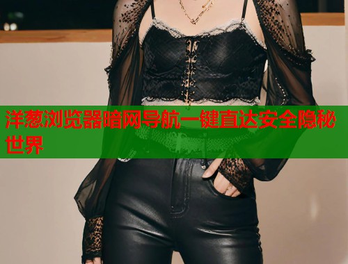 洋葱浏览器暗网导航一键直达安全隐秘世界
