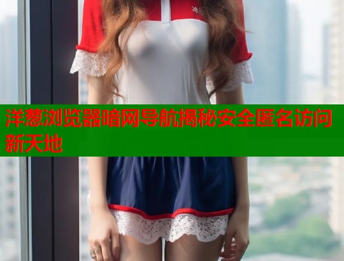 洋葱浏览器暗网导航揭秘安全匿名访问新天地  第2张