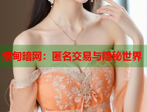 缅甸暗网：匿名交易与隐秘世界