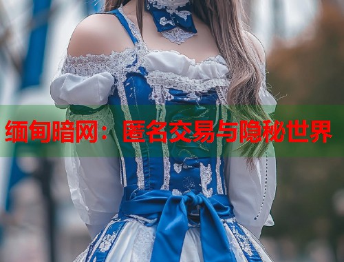 缅甸暗网：匿名交易与隐秘世界  第2张