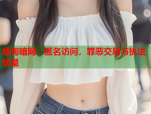 缅甸暗网：匿名访问，罪恶交易与执法较量