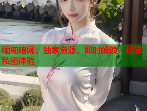 缅甸暗网：独家资源，即时解锁，尽享私密体验