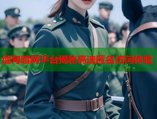 缅甸暗网平台揭秘高速匿名访问体验  第2张