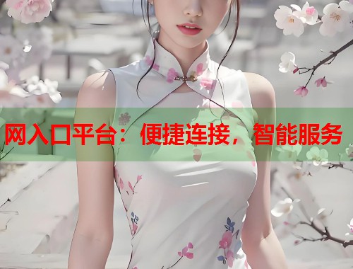网入口平台：便捷连接，智能服务