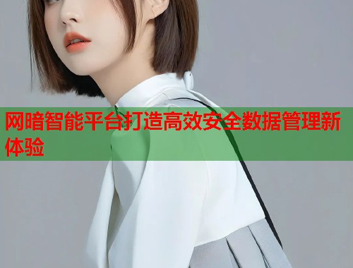 网暗智能平台打造高效安全数据管理新体验