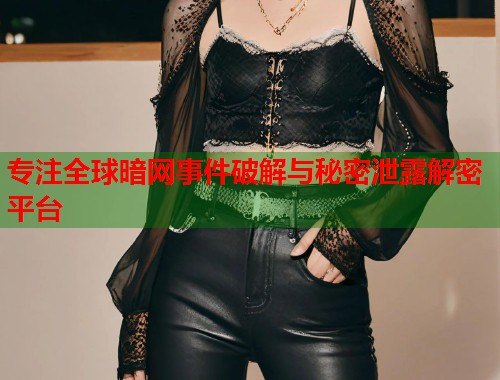 专注全球暗网事件破解与秘密泄露解密平台