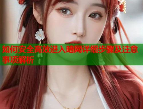 如何安全高效进入暗网详细步骤及注意事项解析