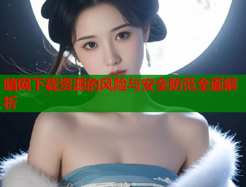 暗网下载资源的风险与安全防范全面解析