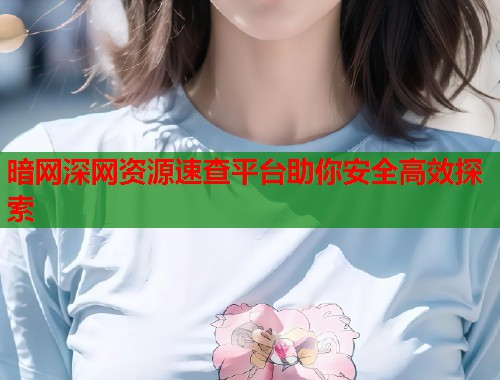 暗网深网资源速查平台助你安全高效探索
