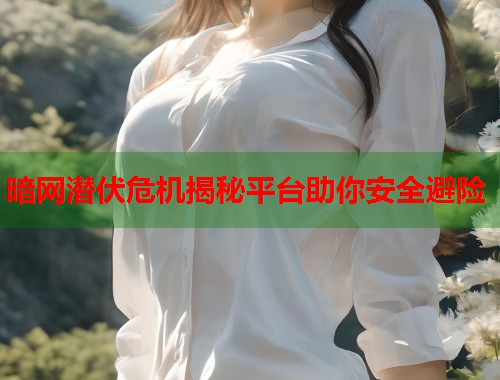 暗网潜伏危机揭秘平台助你安全避险  第1张