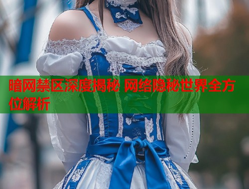 暗网禁区深度揭秘 网络隐秘世界全方位解析  第2张