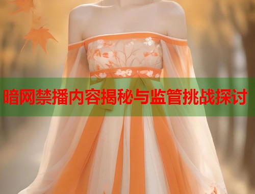 暗网禁播内容揭秘与监管挑战探讨  第1张
