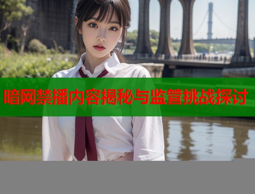 暗网禁播内容揭秘与监管挑战探讨  第2张