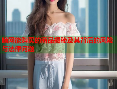 暗网能购买的商品揭秘及其背后的风险与法律问题
