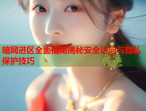 暗网进区全面指南揭秘安全访问与隐私保护技巧  第1张