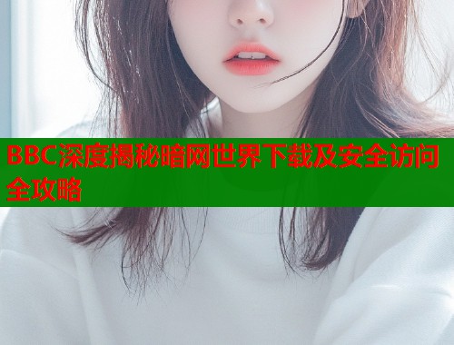 BBC深度揭秘暗网世界下载及安全访问全攻略
