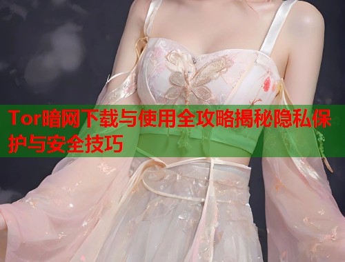Tor暗网下载与使用全攻略揭秘隐私保护与安全技巧