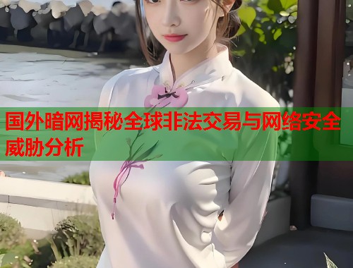 国外暗网揭秘全球非法交易与网络安全威胁分析  第2张