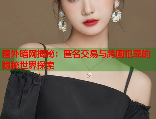 国外暗网揭秘：匿名交易与跨国犯罪的隐秘世界探索  第2张