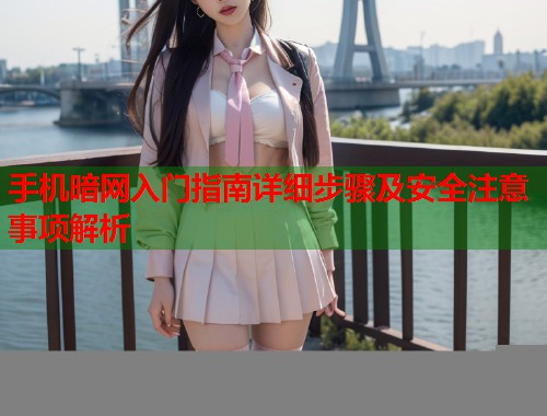 手机暗网入门指南详细步骤及安全注意事项解析