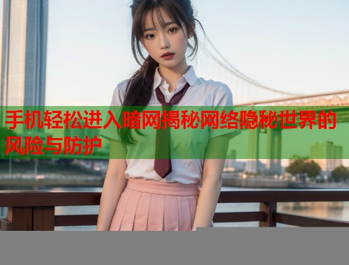 手机轻松进入暗网揭秘网络隐秘世界的风险与防护