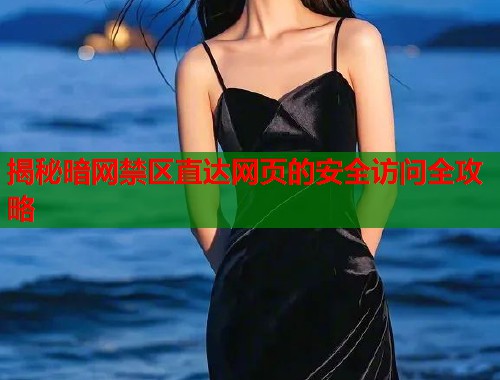 揭秘暗网禁区直达网页的安全访问全攻略