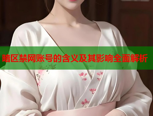 暗区禁网账号的含义及其影响全面解析
