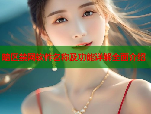 暗区禁网软件名称及功能详解全面介绍