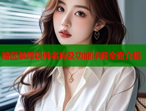 暗区禁网软件名称及功能详解全面介绍  第2张