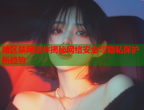 暗区禁网软件揭秘网络安全与隐私保护新趋势