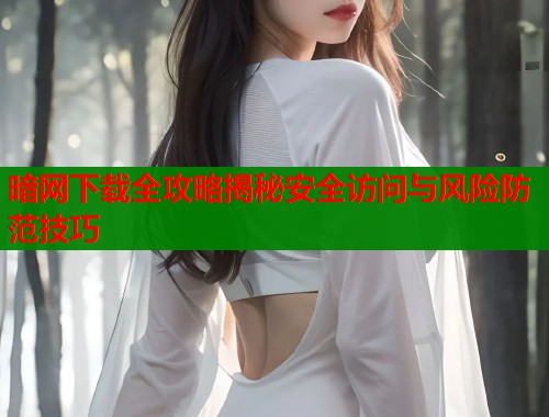 暗网下载全攻略揭秘安全访问与风险防范技巧