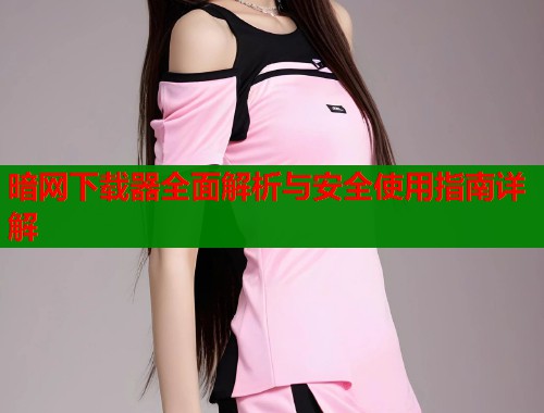 暗网下载器全面解析与安全使用指南详解
