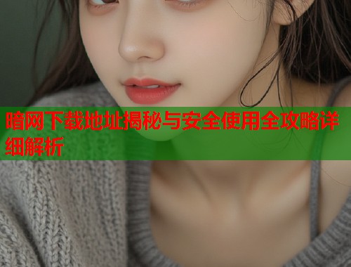暗网下载地址揭秘与安全使用全攻略详细解析