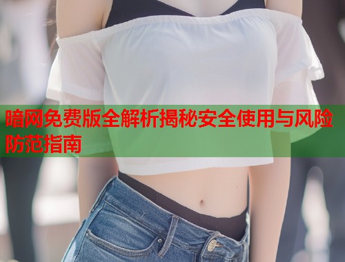 暗网免费版全解析揭秘安全使用与风险防范指南