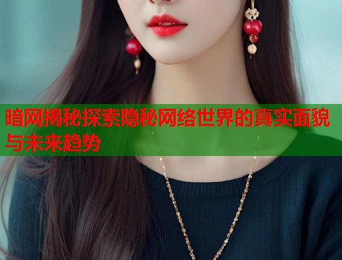 暗网揭秘探索隐秘网络世界的真实面貌与未来趋势  第1张
