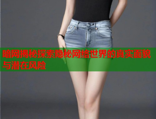 暗网揭秘探索隐秘网络世界的真实面貌与潜在风险  第1张