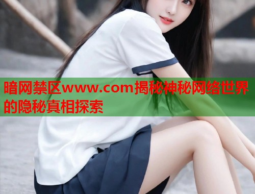 暗网禁区www.com揭秘神秘网络世界的隐秘真相探索  第1张