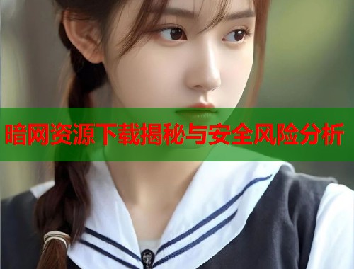 暗网资源下载揭秘与安全风险分析  第2张