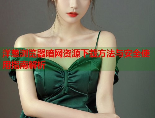 洋葱浏览器暗网资源下载方法与安全使用指南解析  第1张