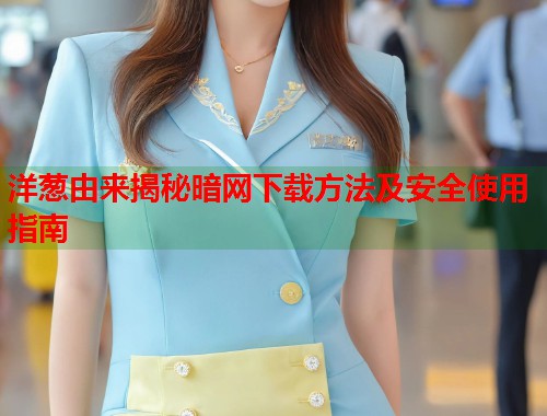 洋葱由来揭秘暗网下载方法及安全使用指南  第1张