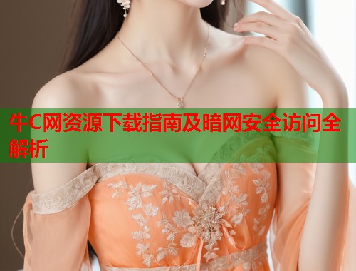牛C网资源下载指南及暗网安全访问全解析  第1张