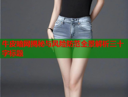 牛皮暗网揭秘与风险防范全景解析三十字标题  第2张