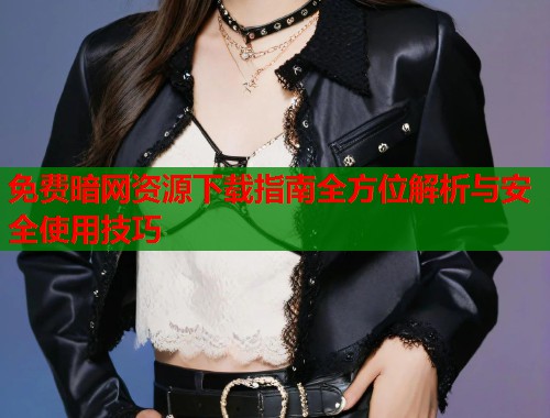 免费暗网资源下载指南全方位解析与安全使用技巧  第1张