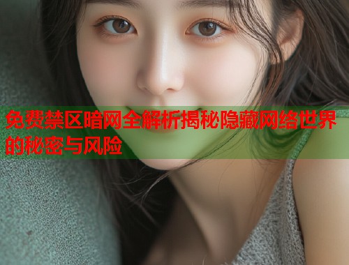 免费禁区暗网全解析揭秘隐藏网络世界的秘密与风险  第1张