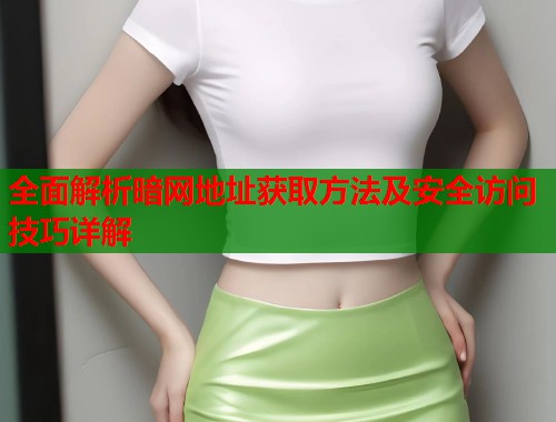 全面解析暗网地址获取方法及安全访问技巧详解  第2张