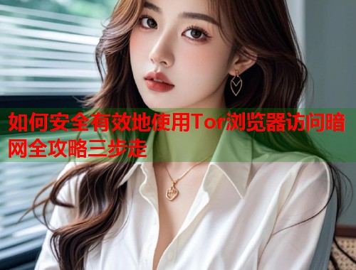 如何安全有效地使用Tor浏览器访问暗网全攻略三步走  第1张