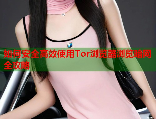 如何安全高效使用Tor浏览器浏览暗网全攻略  第2张